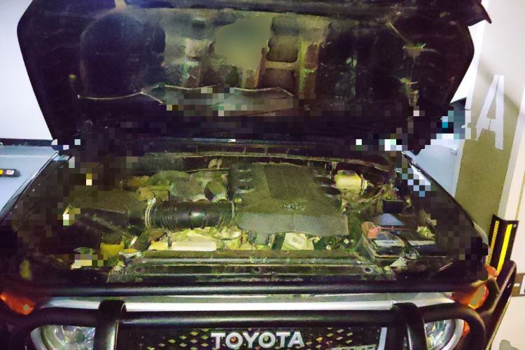 Used Toyota FJ Cruiser 2011 4.0L Engine Bay