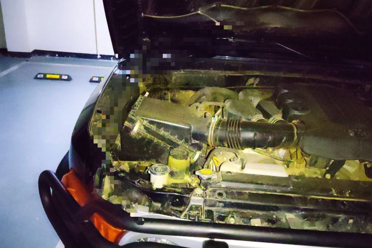 Used Toyota FJ Cruiser 2011 4.0L Engine Bay Right