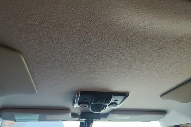 Used Toyota FJ Cruiser 2013 4.0L Headliner