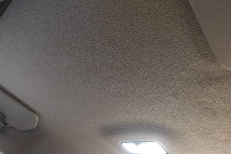 Used Toyota FJ Cruiser 2013 4.0L Headliner
