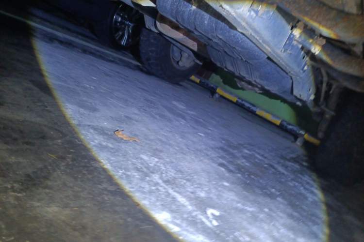 Used Toyota FJ Cruiser  Chassis Front Left