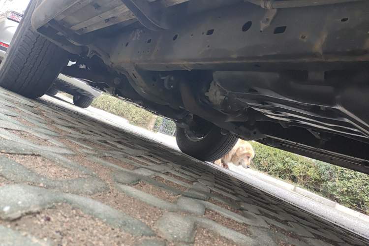 Used Toyota FJ Cruiser 2018 4.0 Automatic Middle East Chassis Rear Left