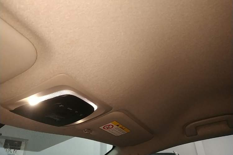 Used Toyota FRONTLANDER 2022 2.0L CVT Elite Edition Headliner