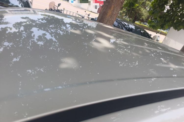 Used Toyota FRONTLANDER 2023 2.0L CVT Elite Edition Roof