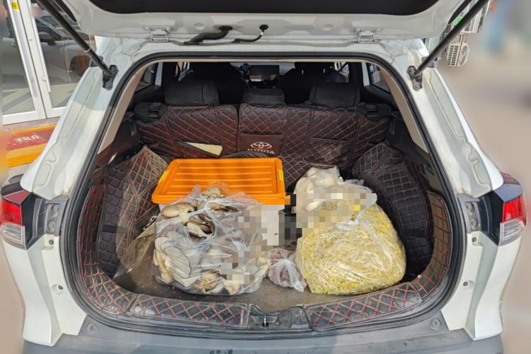 Used Toyota FRONTLANDER 2023 2.0L CVT Elite Edition Trunk