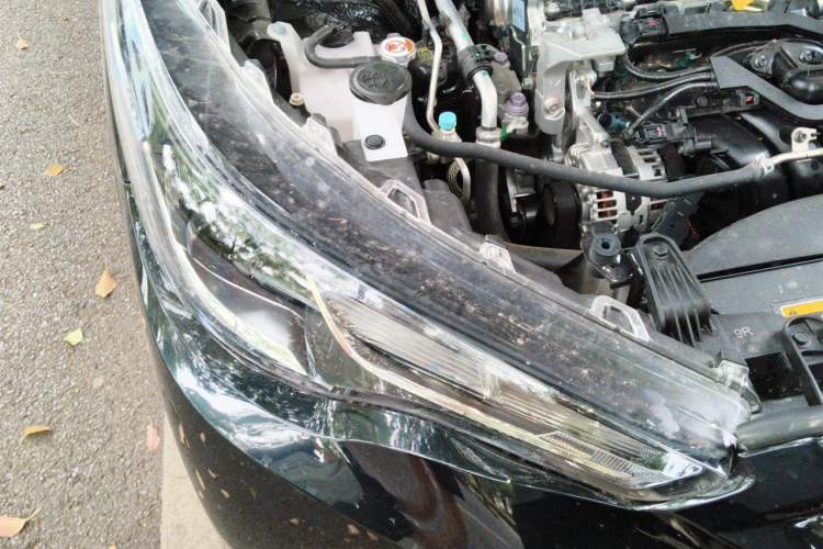 Used Toyota FRONTLANDER 2024 2.0L CVT Elite Plus Edition Right Front Headlight