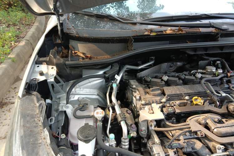Used Toyota FRONTLANDER 2024 2.0L CVT Elite Plus Edition Engine Bay Right