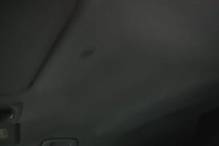 Used Toyota FRONTLANDER 2024 2.0L CVT Elite Edition Headliner