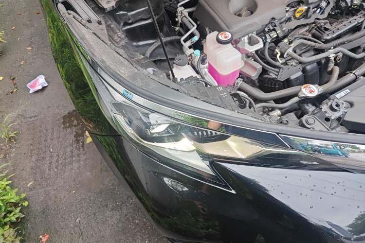 Used Toyota Granvia 2023 2.5L Hybrid Comfort Edition Right Front Headlight