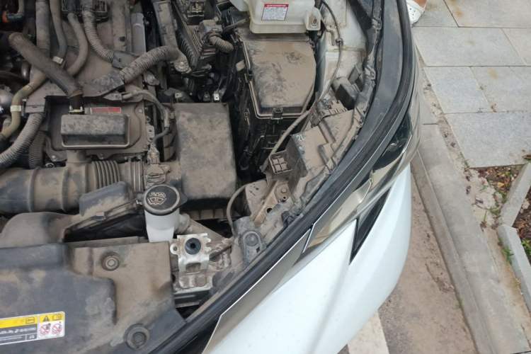 Used Toyota Granvia 2023 2.5L Hybrid Luxury Edition Engine Bay Left