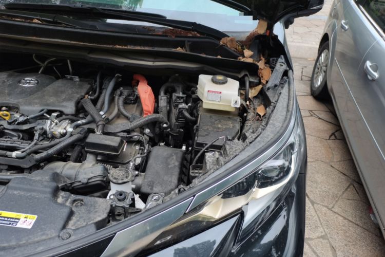 Used Toyota Granvia 2024 2.5L Hybrid Prestige PLUS Four-Wheel Drive Version Engine Bay Left
