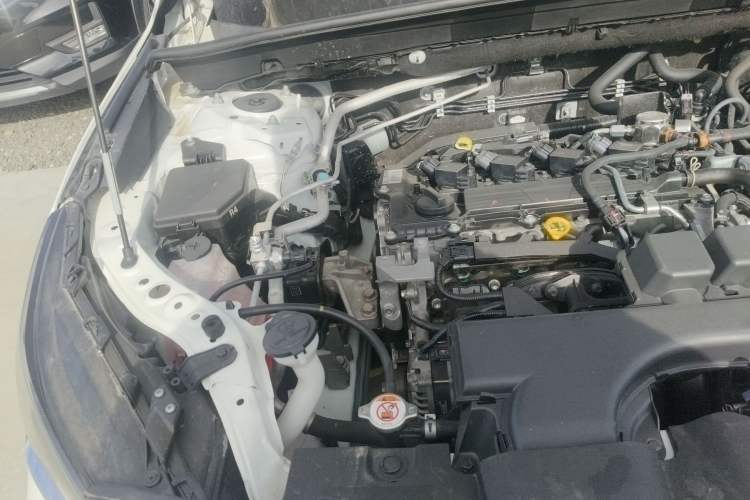 Used Toyota Harrier 2022 2.0L CVT Two-Wheel Drive Luxury Edition Engine Bay Right