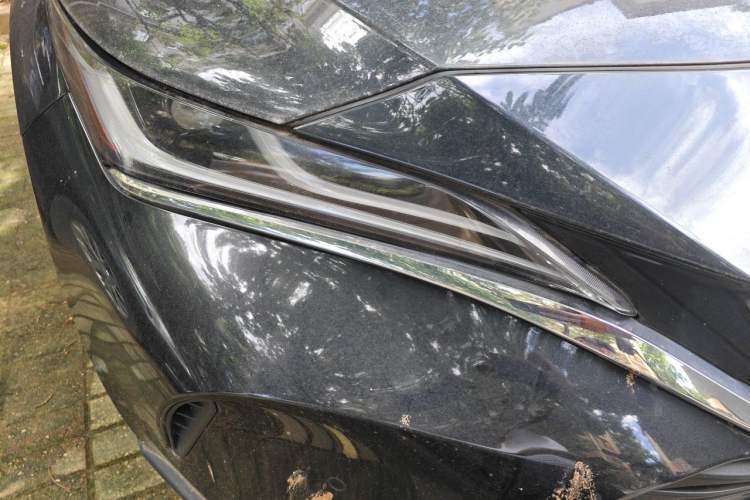 Used Toyota Harrier 2022 2.0L CVT Two-Wheel Drive Deluxe Edition Right Front Headlight