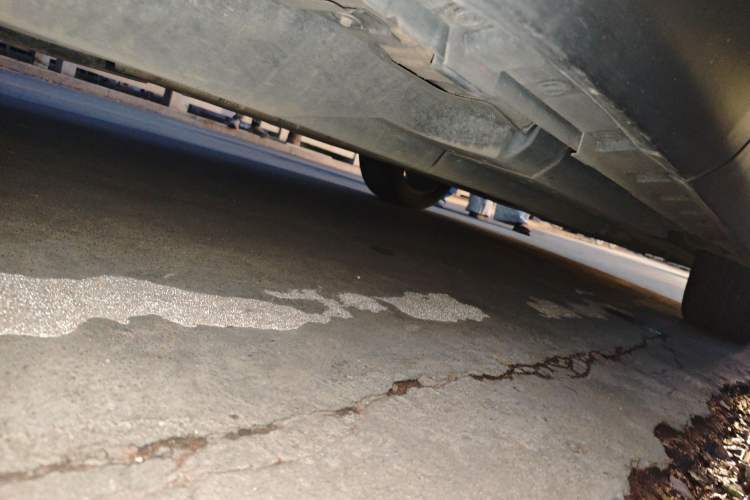 Used Toyota Harrier 2022 2.0L CVT Two-Wheel Drive Deluxe Edition Chassis Rear Right