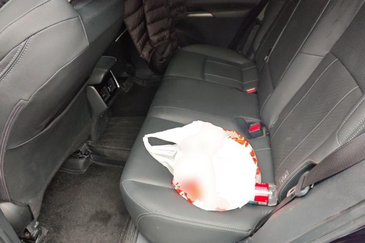 Used Toyota Harrier 2022 2.0L CVT Two-Wheel Drive Deluxe Edition Left Rear Seat