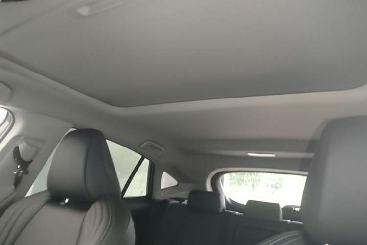 Used Toyota Harrier 2023 2.0L CVT Two-Wheel Drive Luxury Edition Headliner