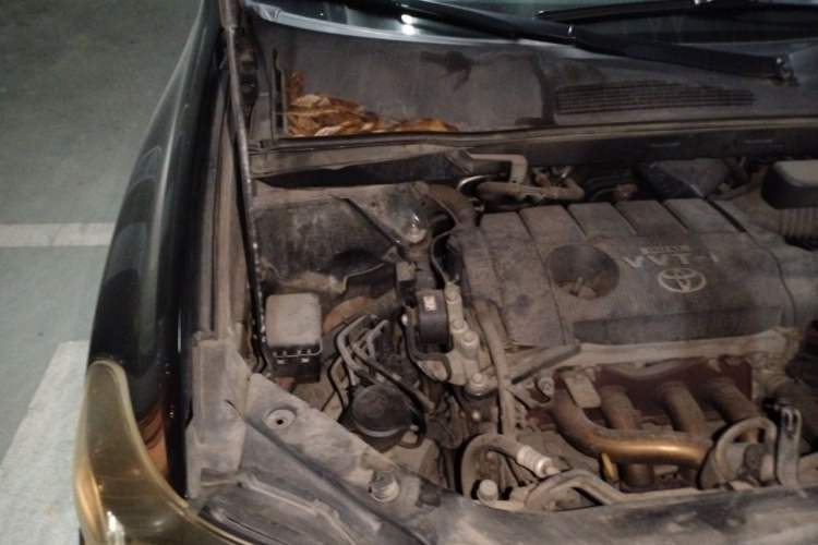 Used Toyota Highlander 2009 2.7L Two-Wheel Drive 7-Seater Luxury Edition Engine Bay Right