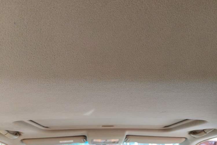 Used Toyota Highlander 2009 2.7L Two-Wheel Drive 7-Seater Luxury Edition Headliner
