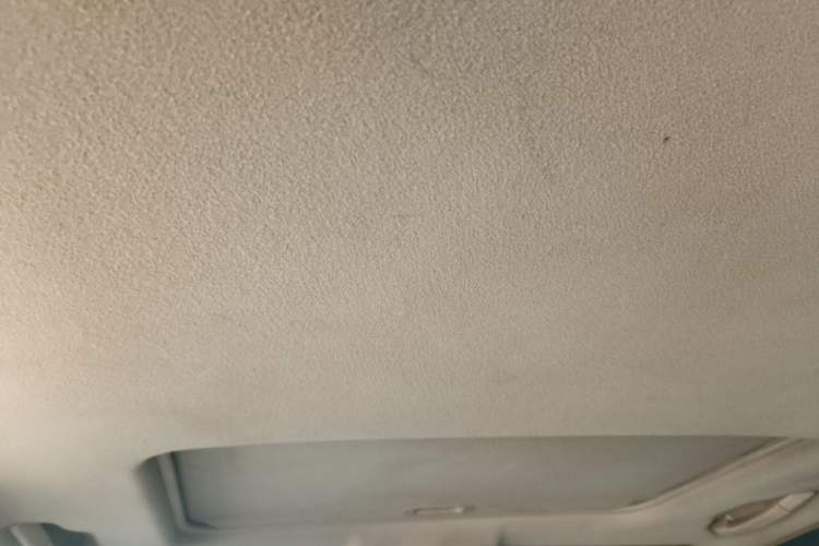 Used Toyota Highlander 2009 2.7L Two-Wheel Drive 7-Seater Luxury Edition Headliner