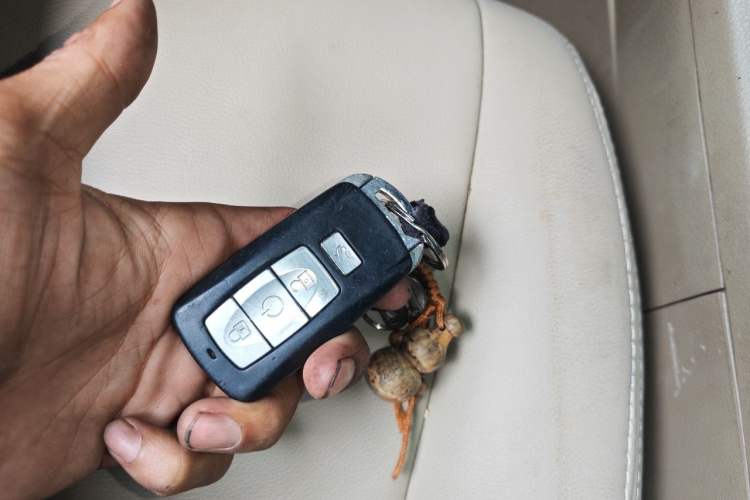 Used Toyota Highlander 2013 2.7L Two-Wheel Drive 5-Seater Purple Gold Edition Vehicle Key