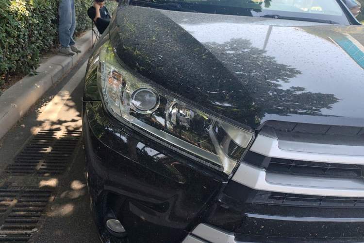 Used Toyota Highlander 2021 2.0T Four-Wheel Drive Elite Edition 7-Seater Right Front Headlight