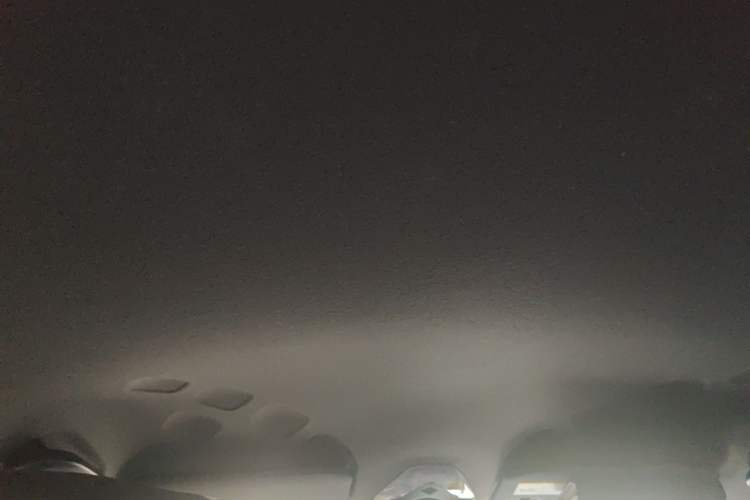 Used Toyota IZOA 2018 2.0L Yichi Edition China V Standard Headliner