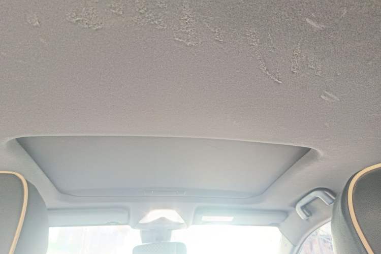 Used Toyota IZOA 2018 2.0L Yichi Version China VI Standard Headliner