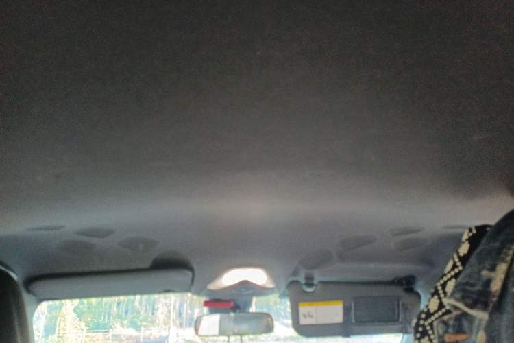 Used Toyota IZOA 2018 2.0L Yichi Edition China V Standard Headliner