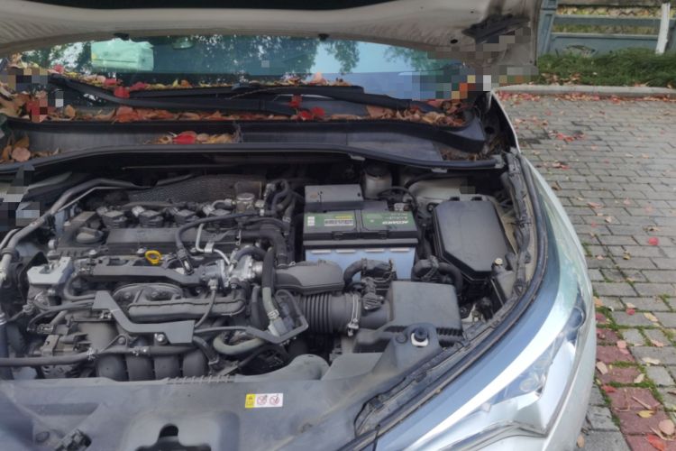 Used Toyota IZOA 2018 2.0L Yichi Version China VI Standard Engine Bay Left