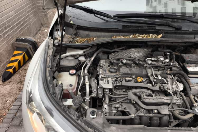 Used Toyota IZOA 2018 2.0L Yichi Edition China V Standard Engine Bay Right