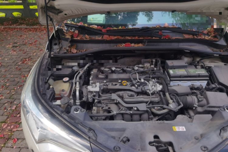 Used Toyota IZOA 2018 2.0L Yichi Version China VI Standard Engine Bay Right