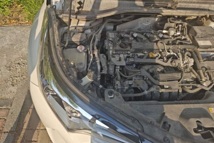 Used Toyota IZOA 2018 2.0L Yichi Edition China V Standard Engine Bay Right