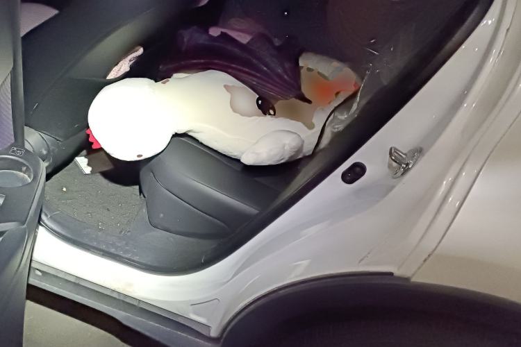 Used Toyota IZOA 2018 2.0L Yichi Version China VI Standard Left Rear Seat