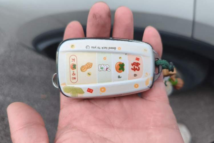 Used Toyota IZOA 2018 2.0L Yichi Version China VI Standard Vehicle Key