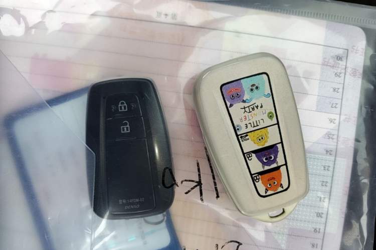 Used Toyota IZOA 2020 2.0L Enjoy Edition Vehicle Key