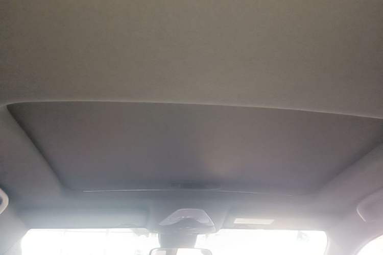 Used Toyota IZOA 2020 2.0L Enjoy Edition Headliner