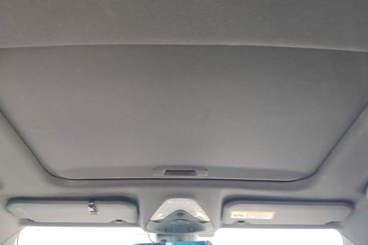 Used Toyota IZOA 2020 2.0L Yi Xiang CARE Headliner