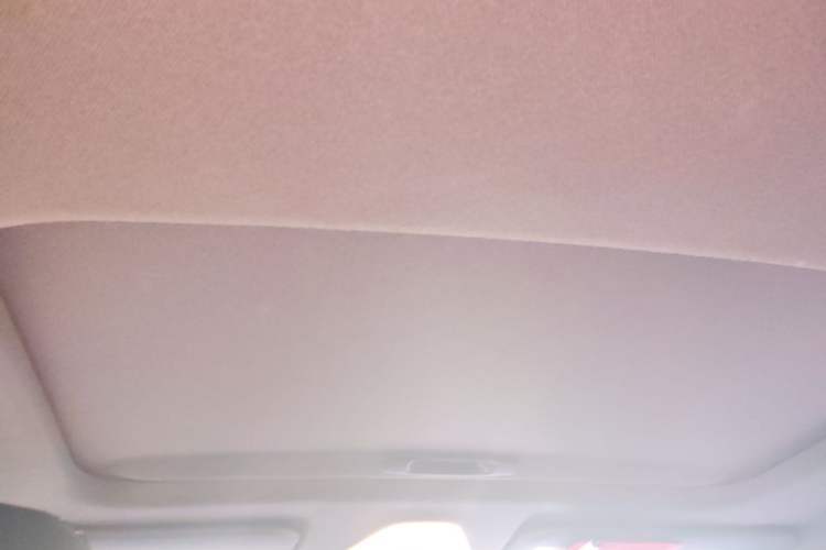 Used Toyota IZOA 2020 2.0L Enjoy Edition Headliner