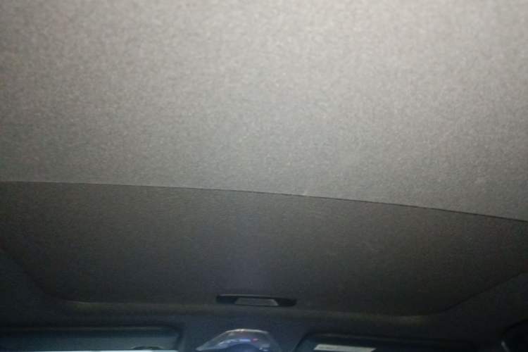 Used Toyota IZOA 2020 2.0L Yichi Version Headliner