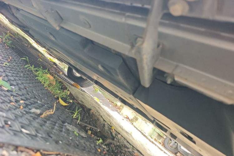 Used Toyota IZOA 2020 2.0L Yichi Version Chassis Rear Left