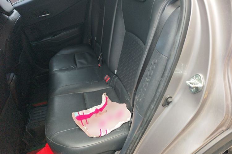 Used Toyota IZOA 2020 2.0L Yichi Version Left Rear Seat