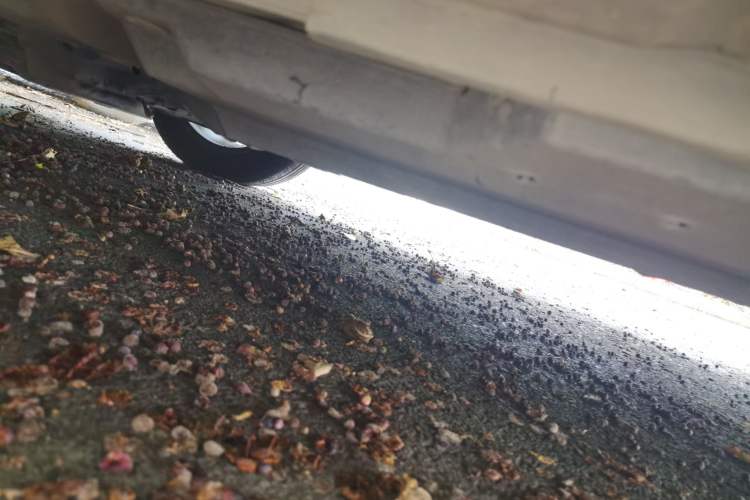 Used Toyota IZOA 2020 2.0L Enjoy Edition Chassis Front Left