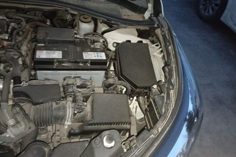 Used Toyota IZOA 2020 2.0L Enjoy Edition Engine Bay Left