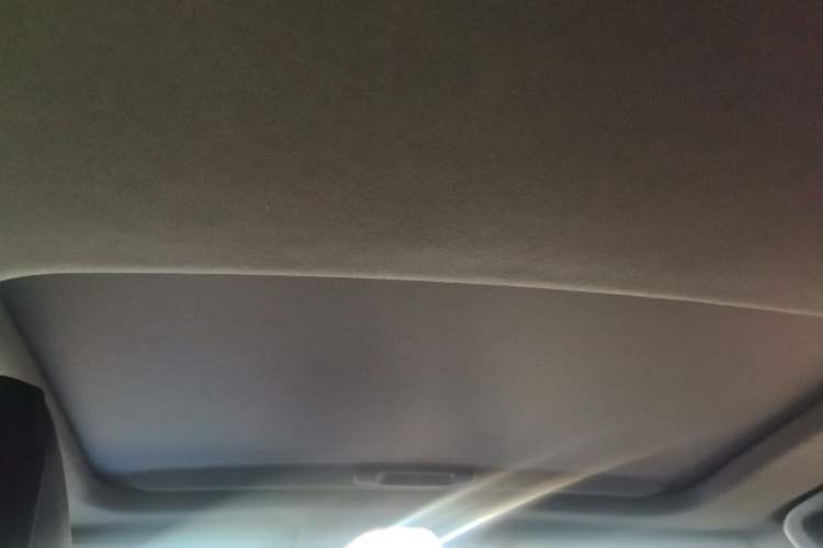 Used Toyota IZOA 2020 2.0L Enjoy Edition Headliner