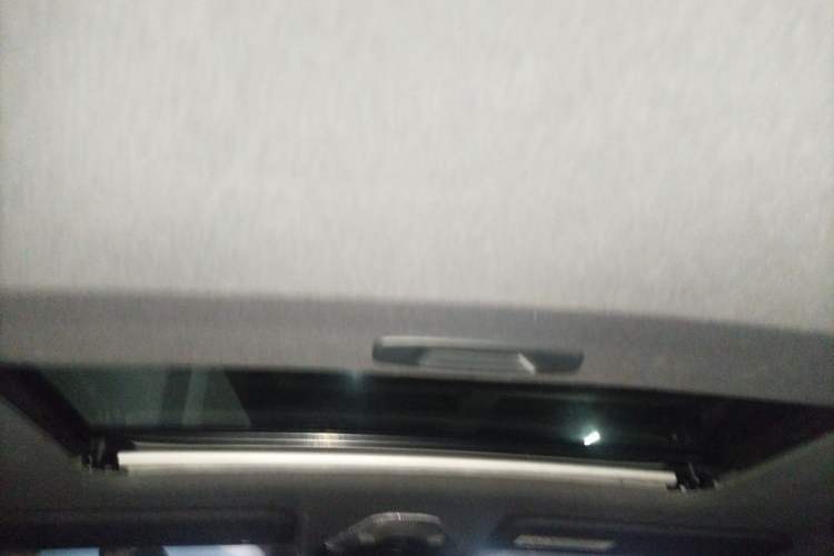 Used Toyota IZOA 2020 2.0L Enjoy Edition Headliner