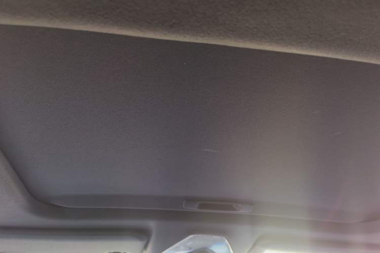 Used Toyota IZOA 2020 2.0L Enjoy Edition Headliner
