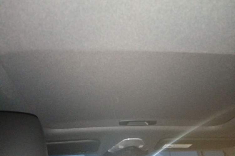 Used Toyota IZOA 2020 2.0L Enjoy Edition Headliner