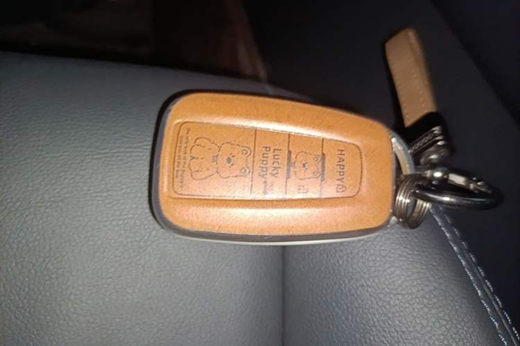 Used Toyota IZOA 2020 2.0L Yichi Version Interior 1