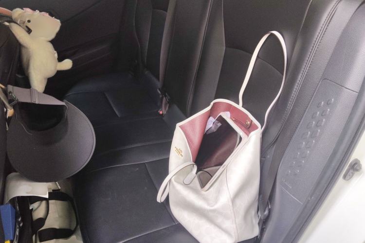 Used Toyota IZOA 2020 2.0L Yichi Version Left Rear Seat