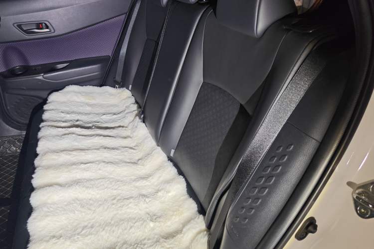 Used Toyota IZOA 2020 2.0L Yichi Version Left Rear Seat